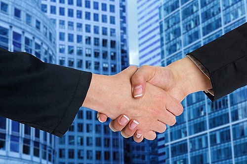 Case Studies of a boutique law firm that wants to find a partner to merge and grow the business